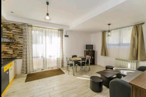 Apartament Andra